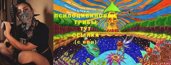 спиды Алексеевка