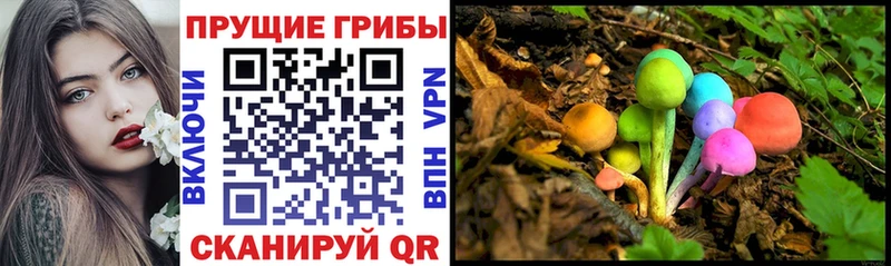 Псилоцибиновые грибы Cubensis  Болгар 